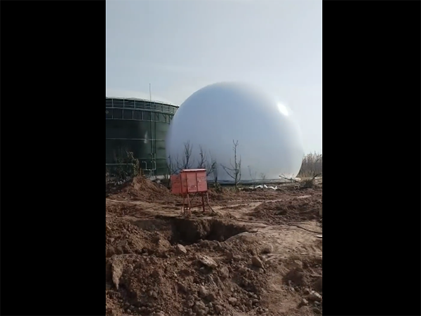 qq截圖20251215135217